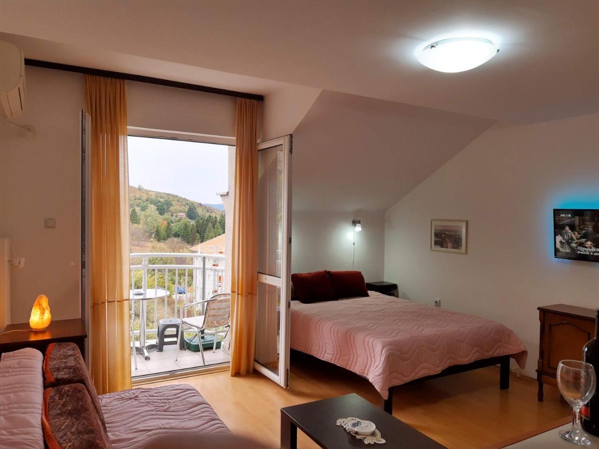 Sky Apartman Сокобаня Экстерьер фото