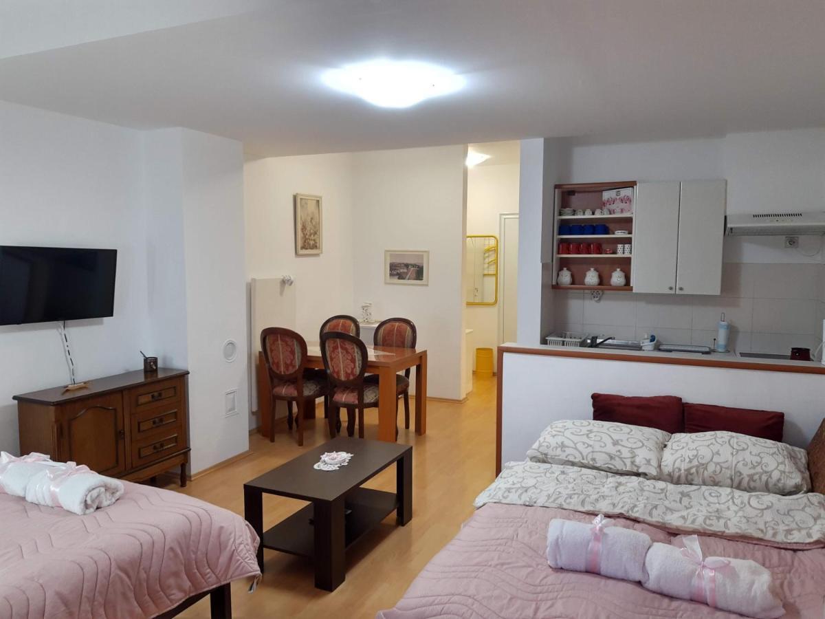 Sky Apartman Сокобаня Экстерьер фото