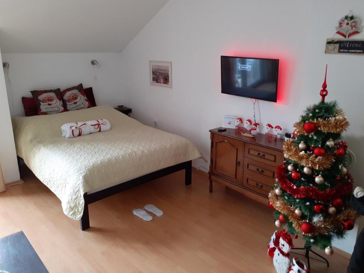 Sky Apartman Сокобаня Экстерьер фото